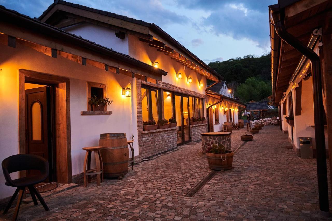Complex Butoaiele Transilvaniei - Cazare & Spa - Natura - Relaxare Mediaş Buitenkant foto