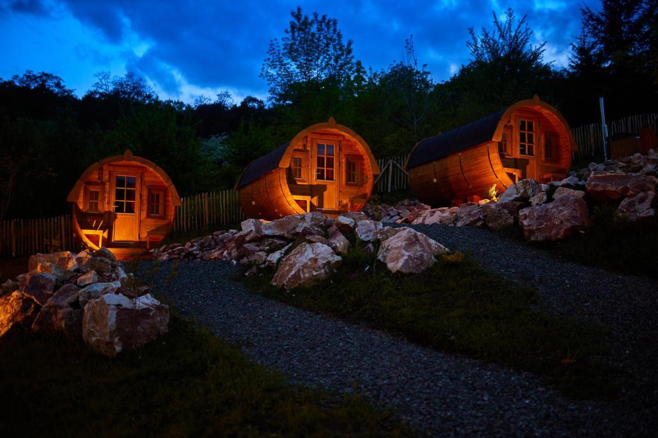 Complex Butoaiele Transilvaniei - Cazare & Spa - Natura - Relaxare Mediaş Buitenkant foto