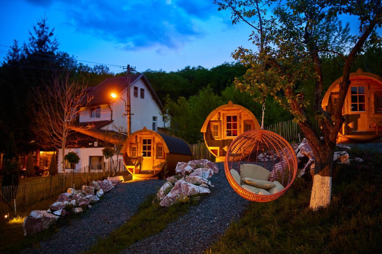 Complex Butoaiele Transilvaniei - Cazare & Spa - Natura - Relaxare Mediaş Buitenkant foto