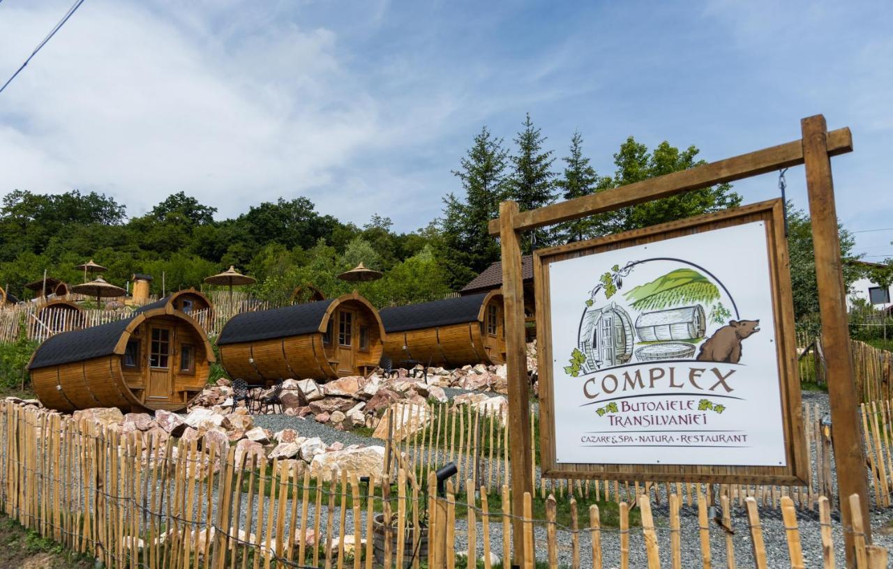 Complex Butoaiele Transilvaniei - Cazare & Spa - Natura - Relaxare Mediaş Buitenkant foto