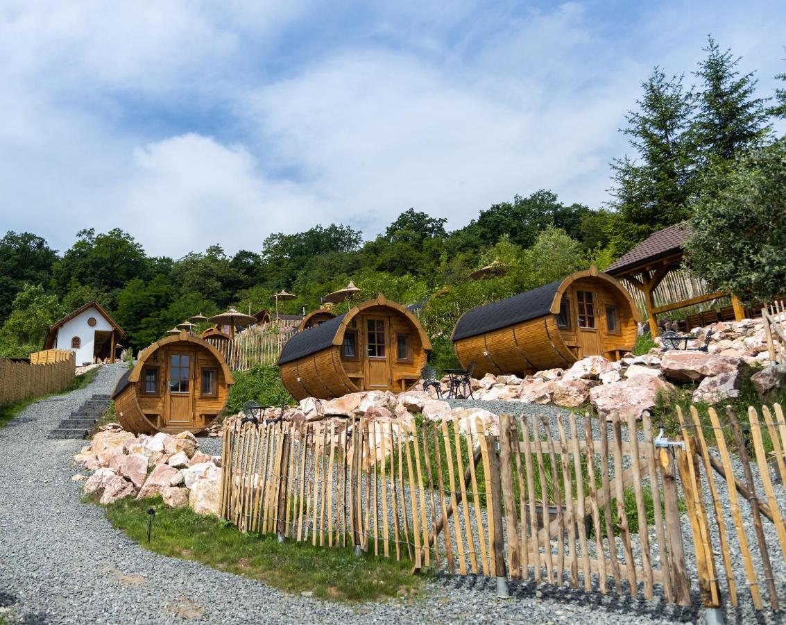 Complex Butoaiele Transilvaniei - Cazare & Spa - Natura - Relaxare Mediaş Buitenkant foto