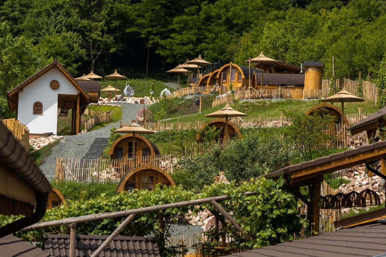 Complex Butoaiele Transilvaniei - Cazare & Spa - Natura - Relaxare Mediaş Buitenkant foto