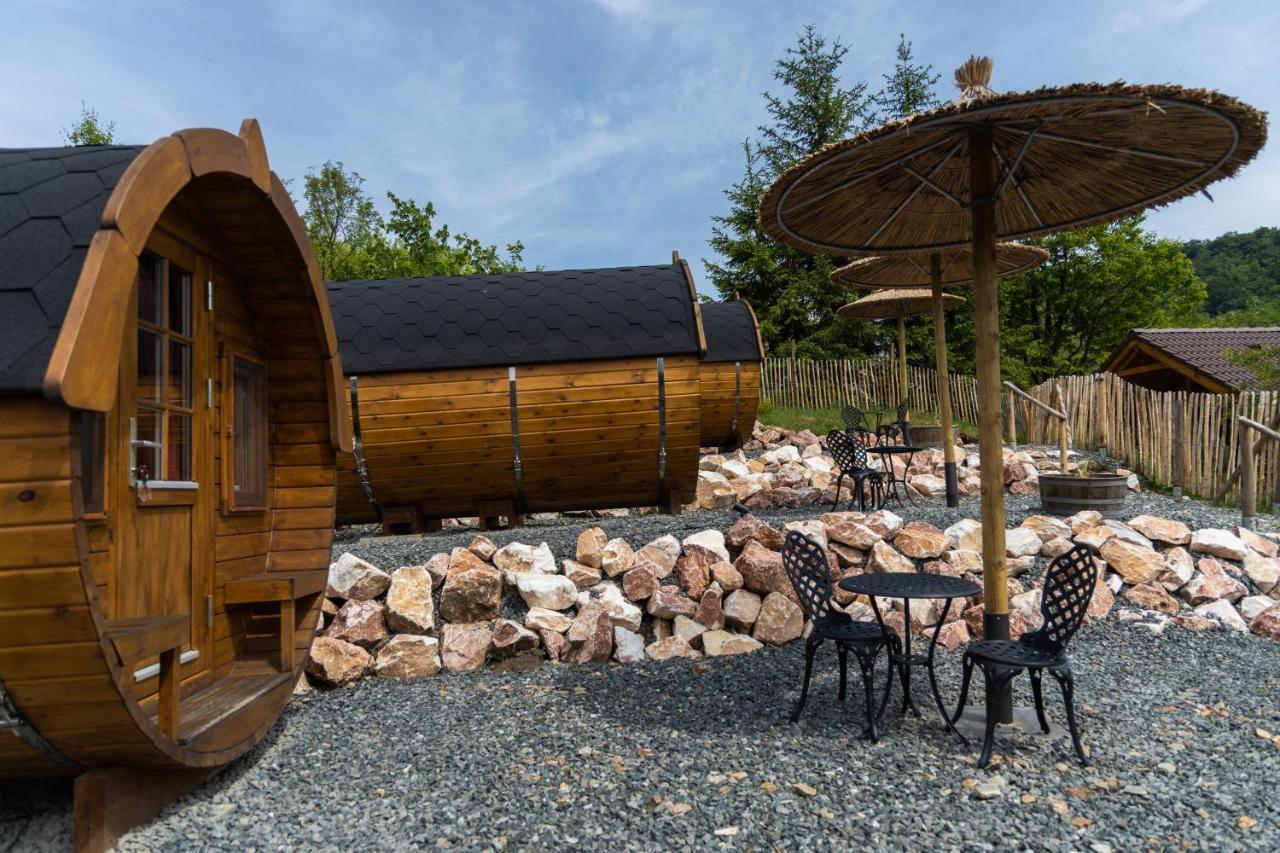 Complex Butoaiele Transilvaniei - Cazare & Spa - Natura - Relaxare Mediaş Buitenkant foto