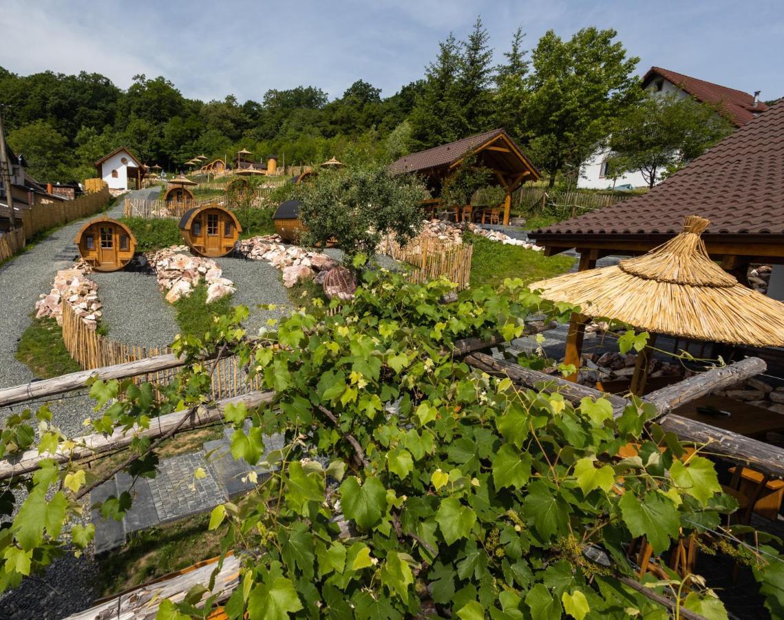 Complex Butoaiele Transilvaniei - Cazare & Spa - Natura - Relaxare Mediaş Buitenkant foto