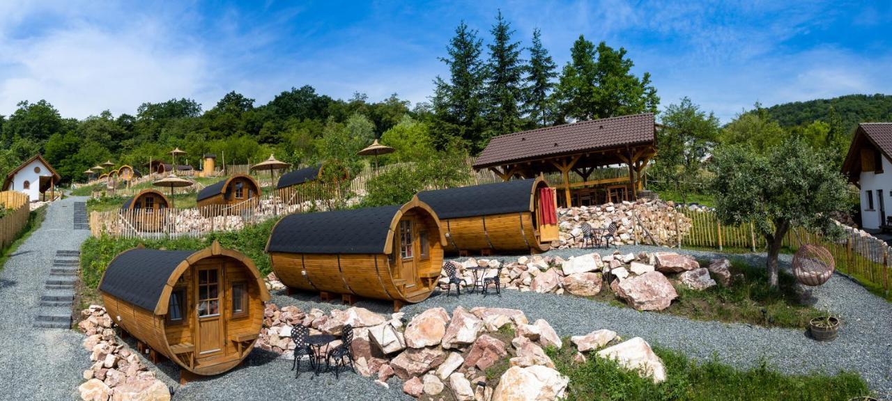 Complex Butoaiele Transilvaniei - Cazare & Spa - Natura - Relaxare Mediaş Buitenkant foto