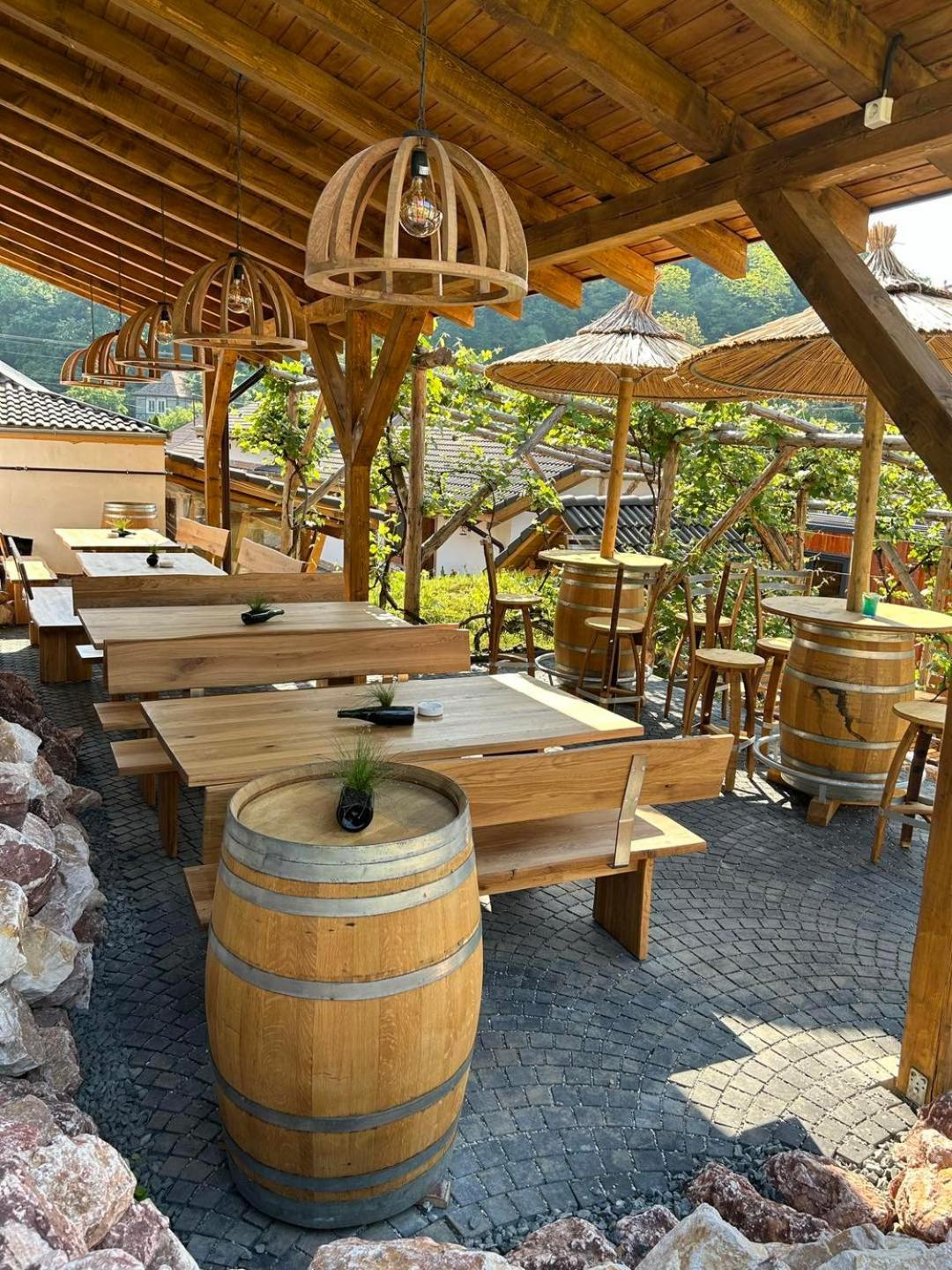 Complex Butoaiele Transilvaniei - Cazare & Spa - Natura - Relaxare Mediaş Buitenkant foto