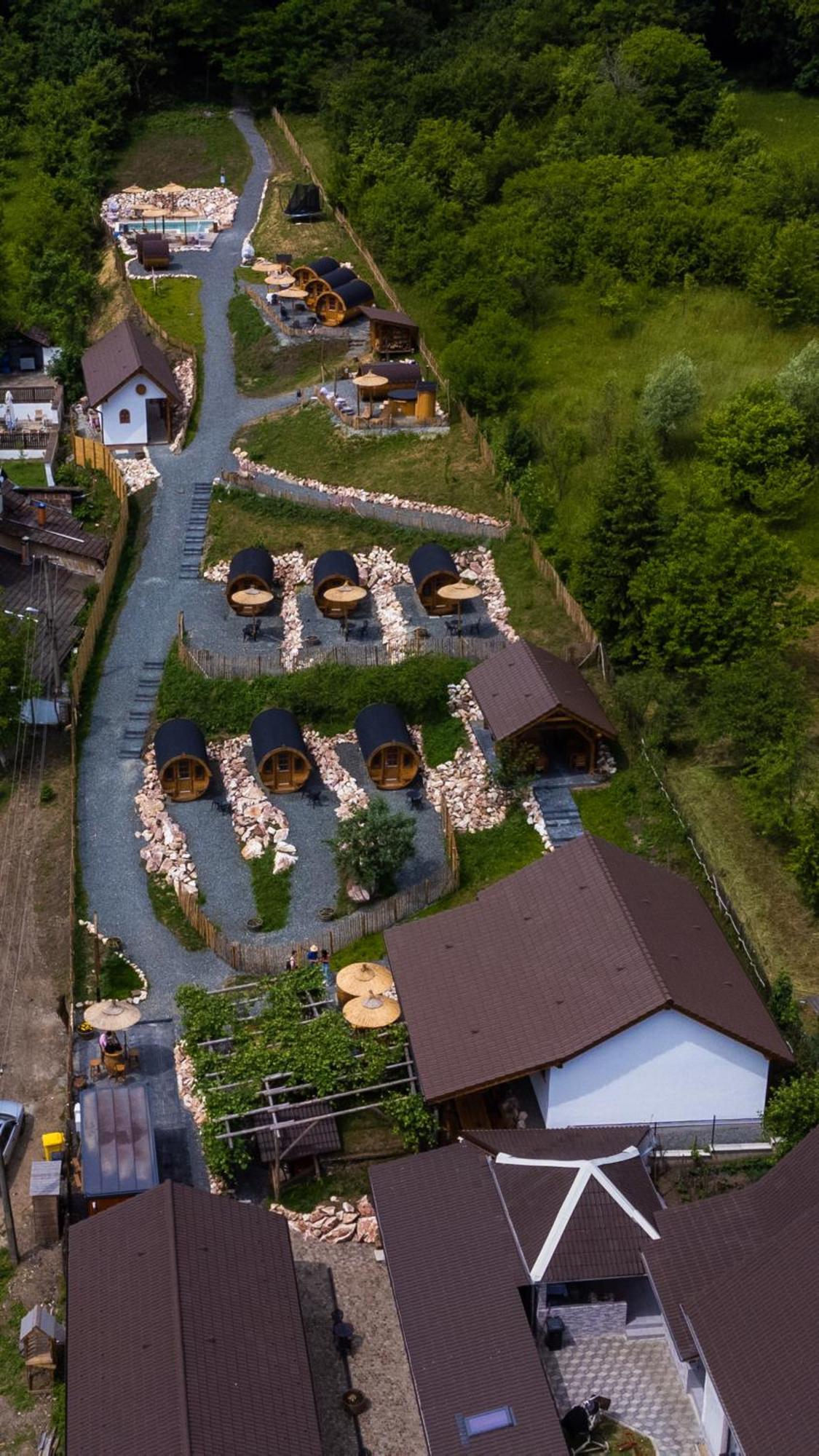 Complex Butoaiele Transilvaniei - Cazare & Spa - Natura - Relaxare Mediaş Buitenkant foto