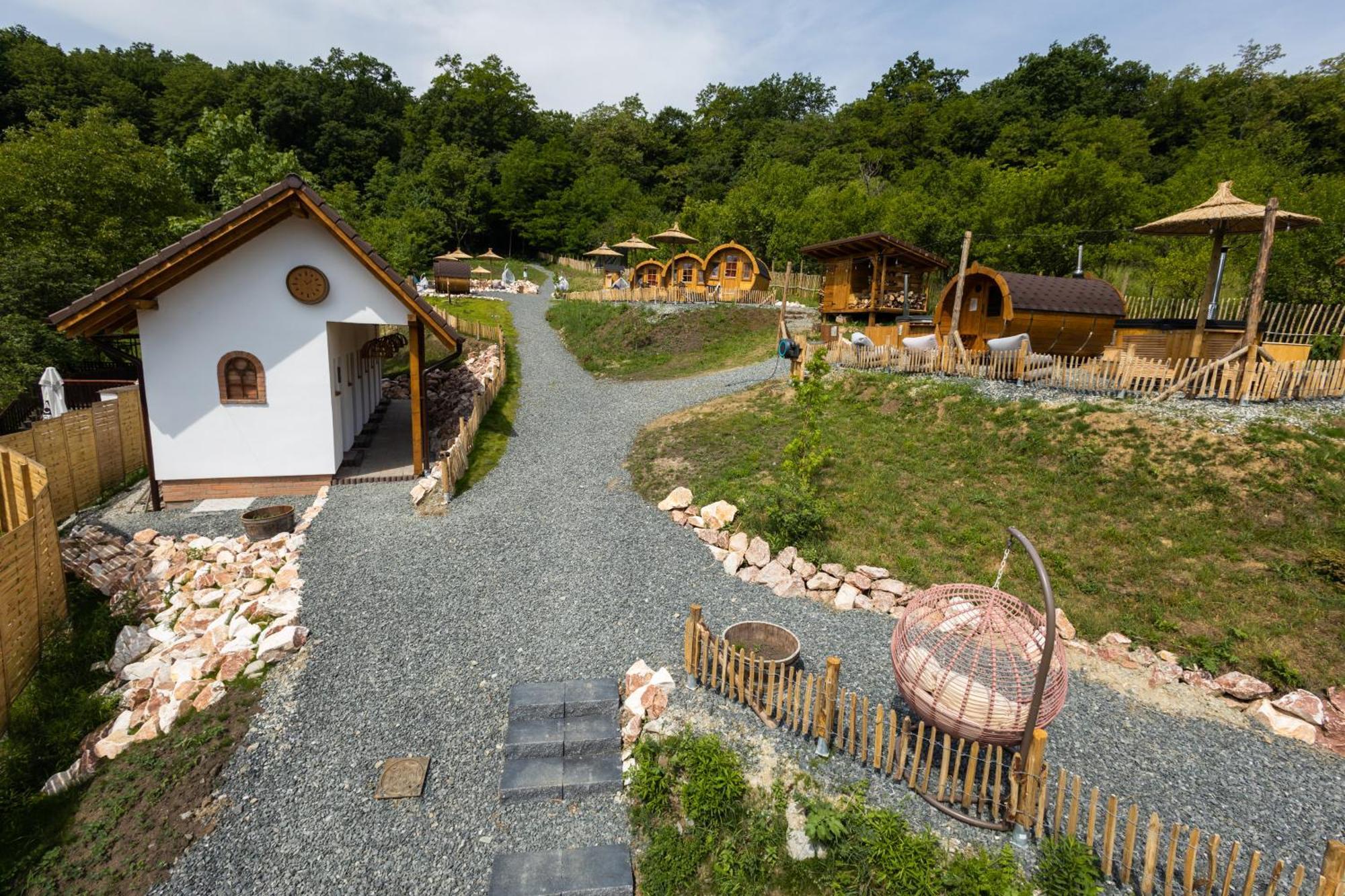 Complex Butoaiele Transilvaniei - Cazare & Spa - Natura - Relaxare Mediaş Buitenkant foto