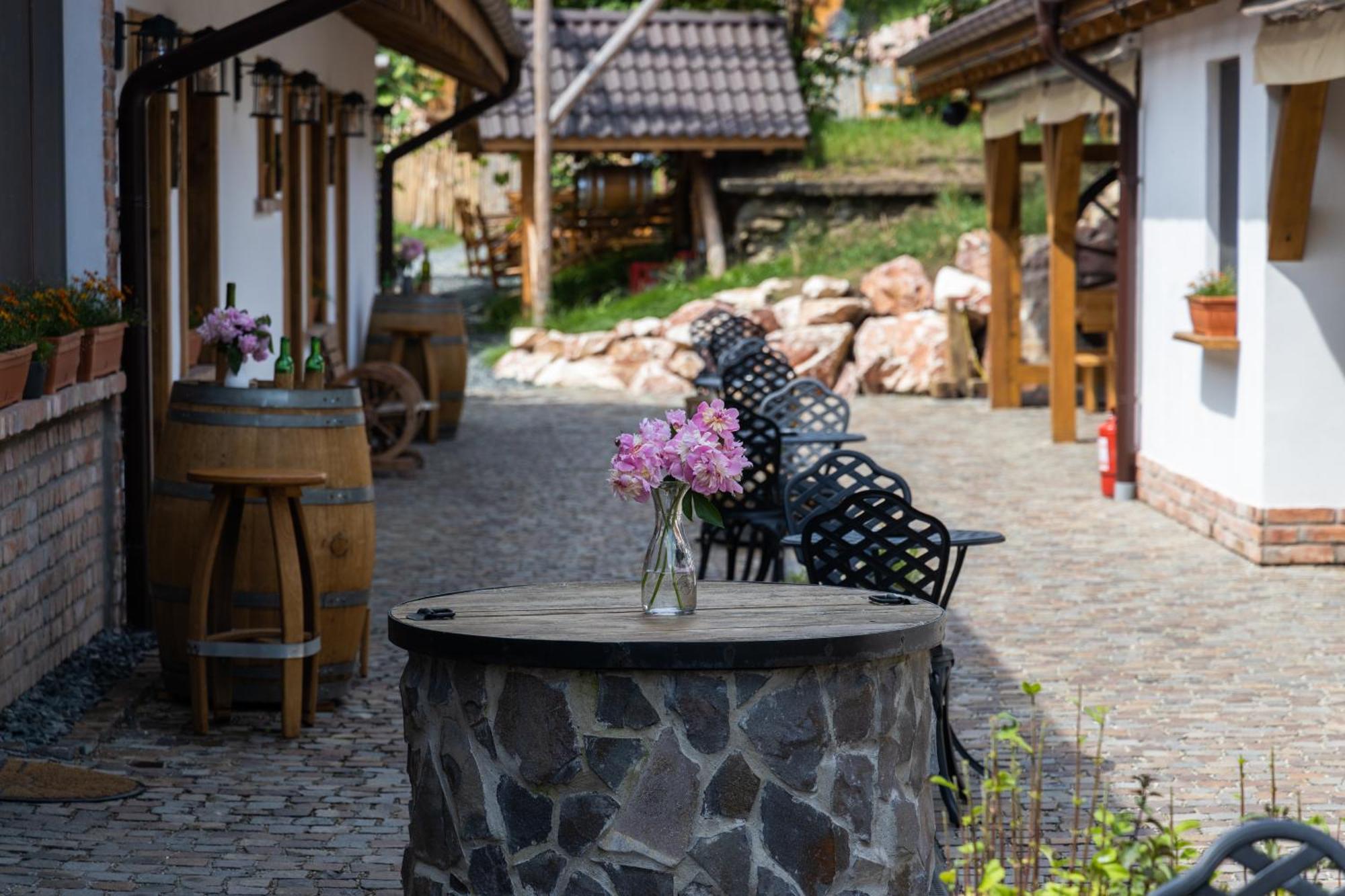 Complex Butoaiele Transilvaniei - Cazare & Spa - Natura - Relaxare Mediaş Buitenkant foto